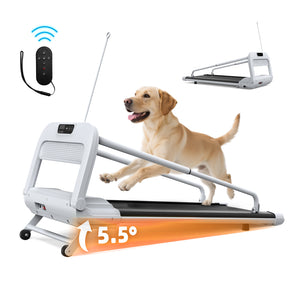 2025 SmartFit Quiet Dog Treadmill