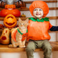 Plush Pumpkin Halloween Pet Costume