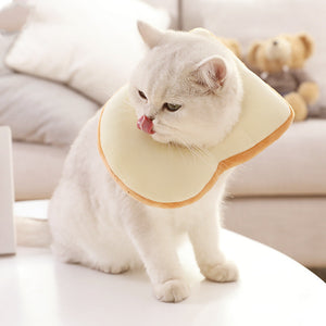 Funny Cat Toast & Avocado Collar