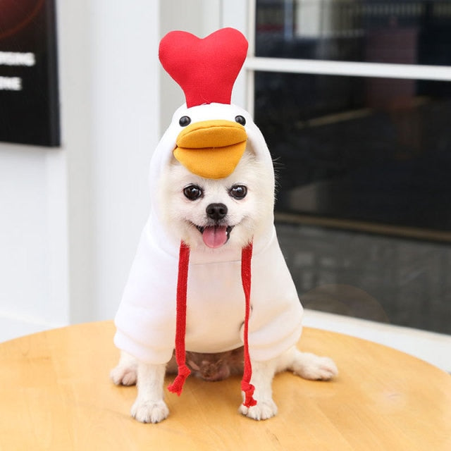 Fruit Pet Coat Hoodies - Pawfection
