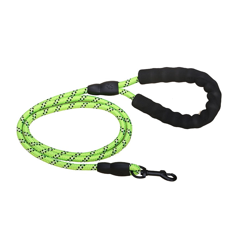 Premium Quality Nylon Leash - Pawfection