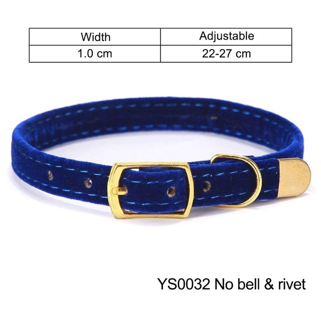 Collar For Small Cats & Dogs - Pawfection