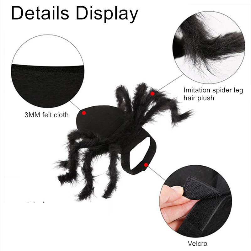 Spider Costume for Pets - Pawfection