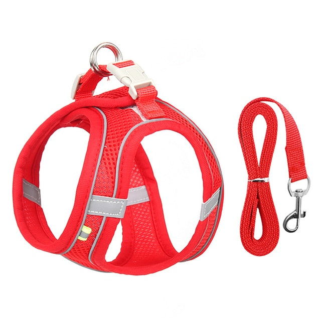 Harness & Leash Set for Small Dogs - Pawfection