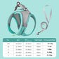 Harness & Leash Set
