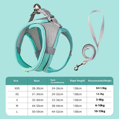 Harness & Leash Set