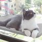 Suction Cup Cat Hammock Balcony Cat Nest