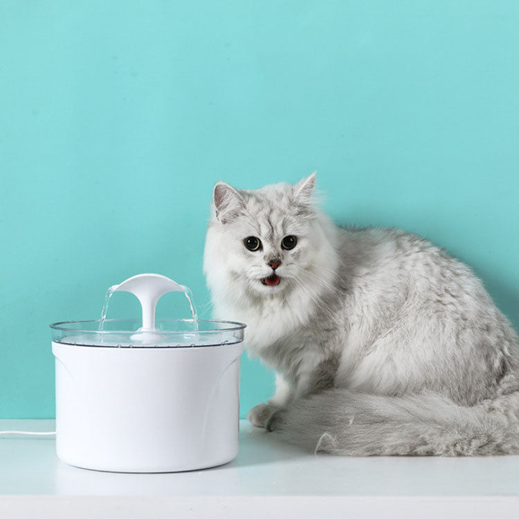 Automatic Water Fountain - Pawfection