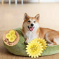 Sunflower Puppy Chew Toy