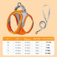 Harness & Leash Set