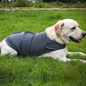 Thunder Calming Vest