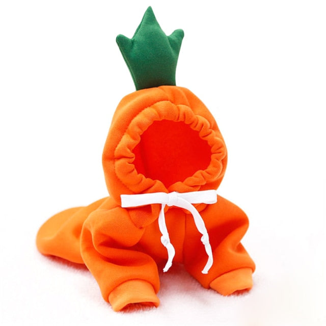 Fruit Pet Coat Hoodies - Pawfection