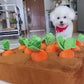 Pet Plush Food Toys