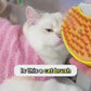 Cat Steam Brush