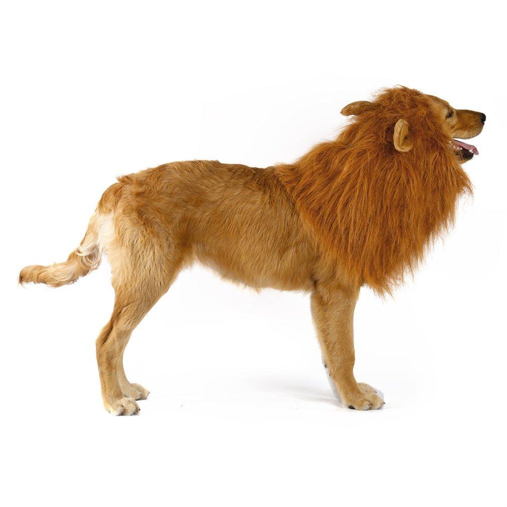 Lion Theme Dog Wig - Pawfection