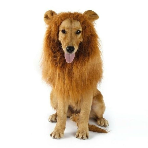 Lion Theme Dog Wig - Pawfection