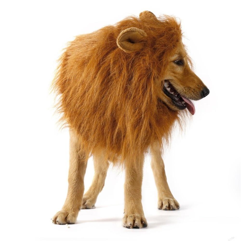 Lion Theme Dog Wig - Pawfection