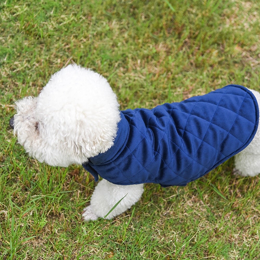 Dogs Winter Warm Vest - Pawfection