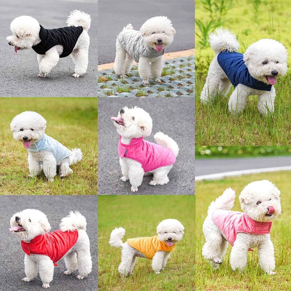 Dogs Winter Warm Vest - Pawfection