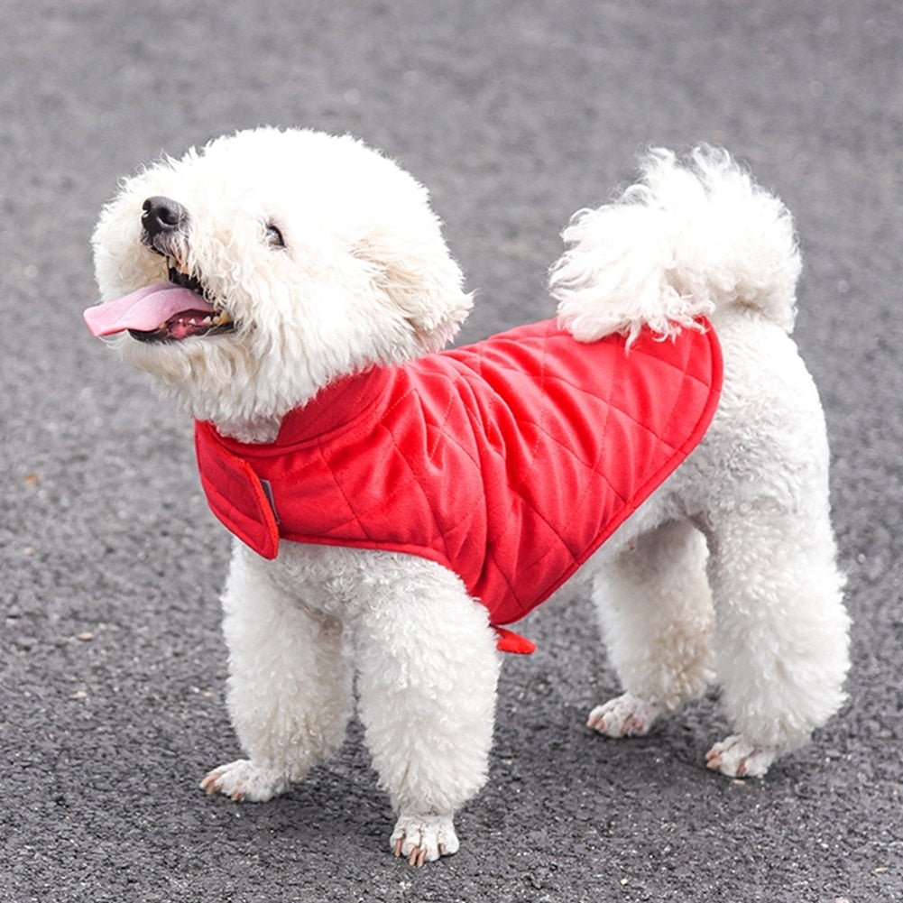 Dogs Winter Warm Vest - Pawfection