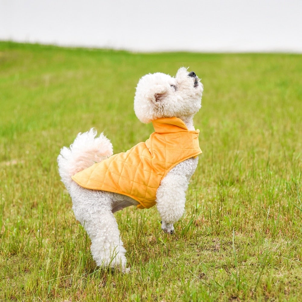 Dogs Winter Warm Vest - Pawfection