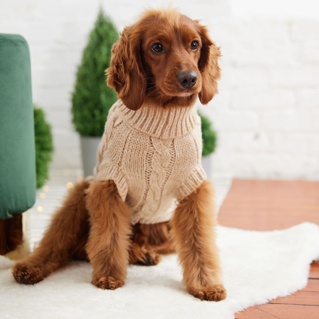 Chalet Dog Sweater - Pawfection