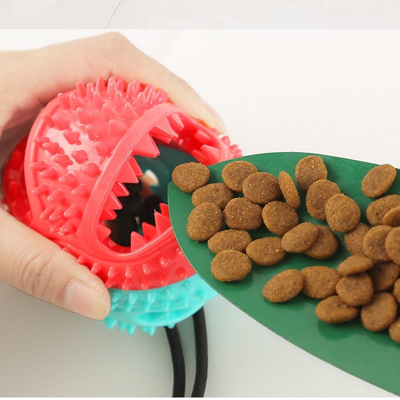 Silicone Suction Cup Dog Toy - Pawfection