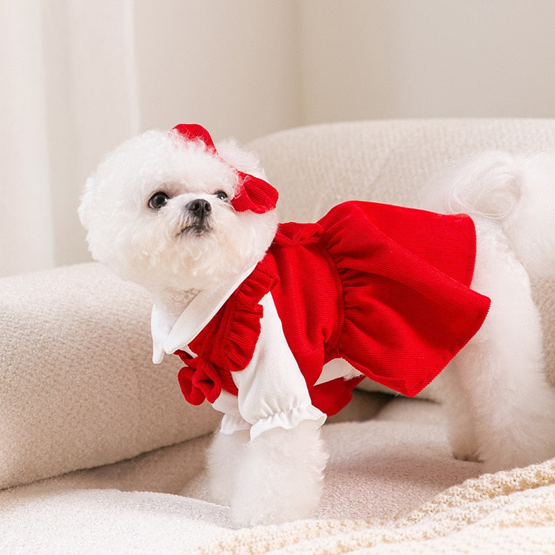 Puppy Bow Knot Dress Set - Pawfection