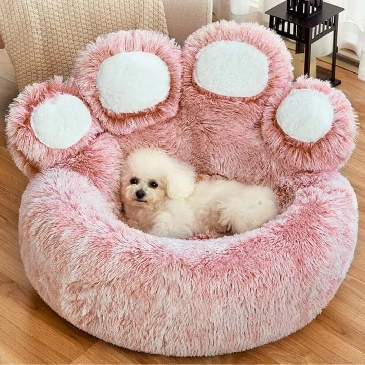 Plush Bear Paw Pet Bed - Pawfection