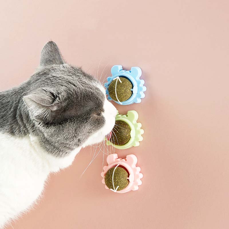 Cat Catnip Ball Toys Crab Base - Pawfection