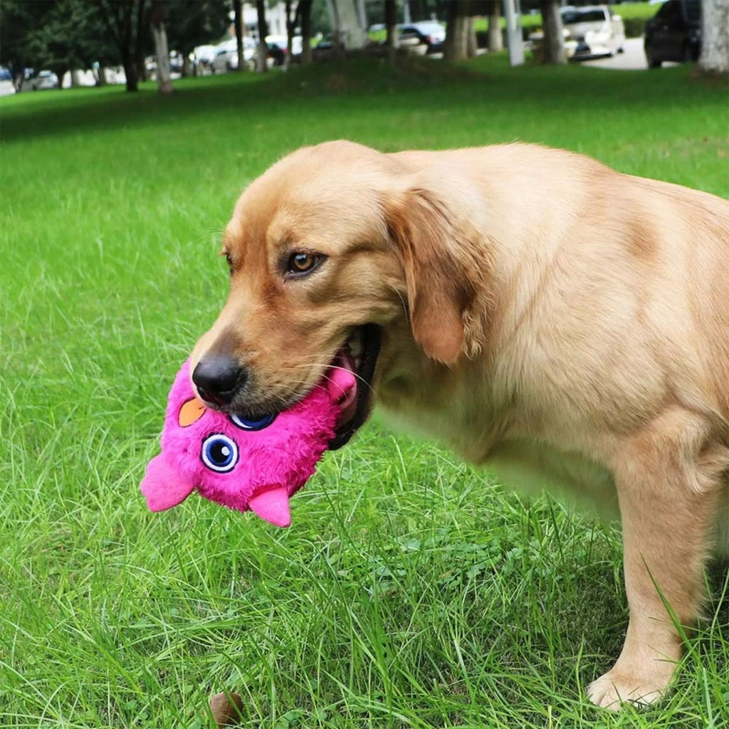 Cute Monster - Interactive Dog Toy - Pawfection