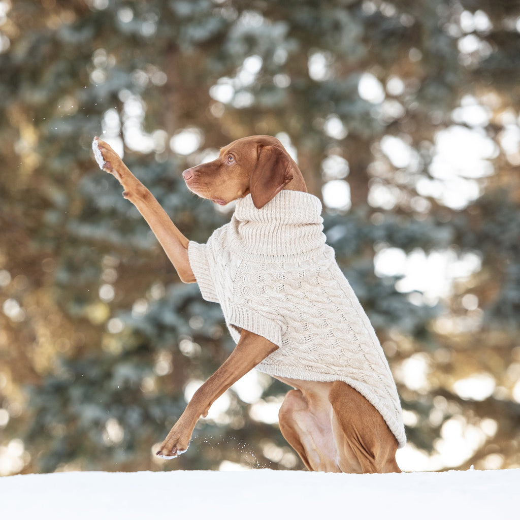 Chalet Dog Sweater - Pawfection