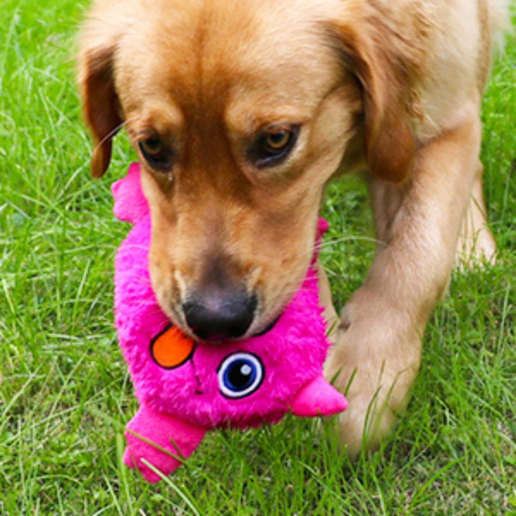 Cute Monster - Interactive Dog Toy - Pawfection