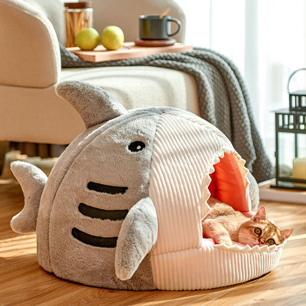 The Shark Pet Bed - Pawfection