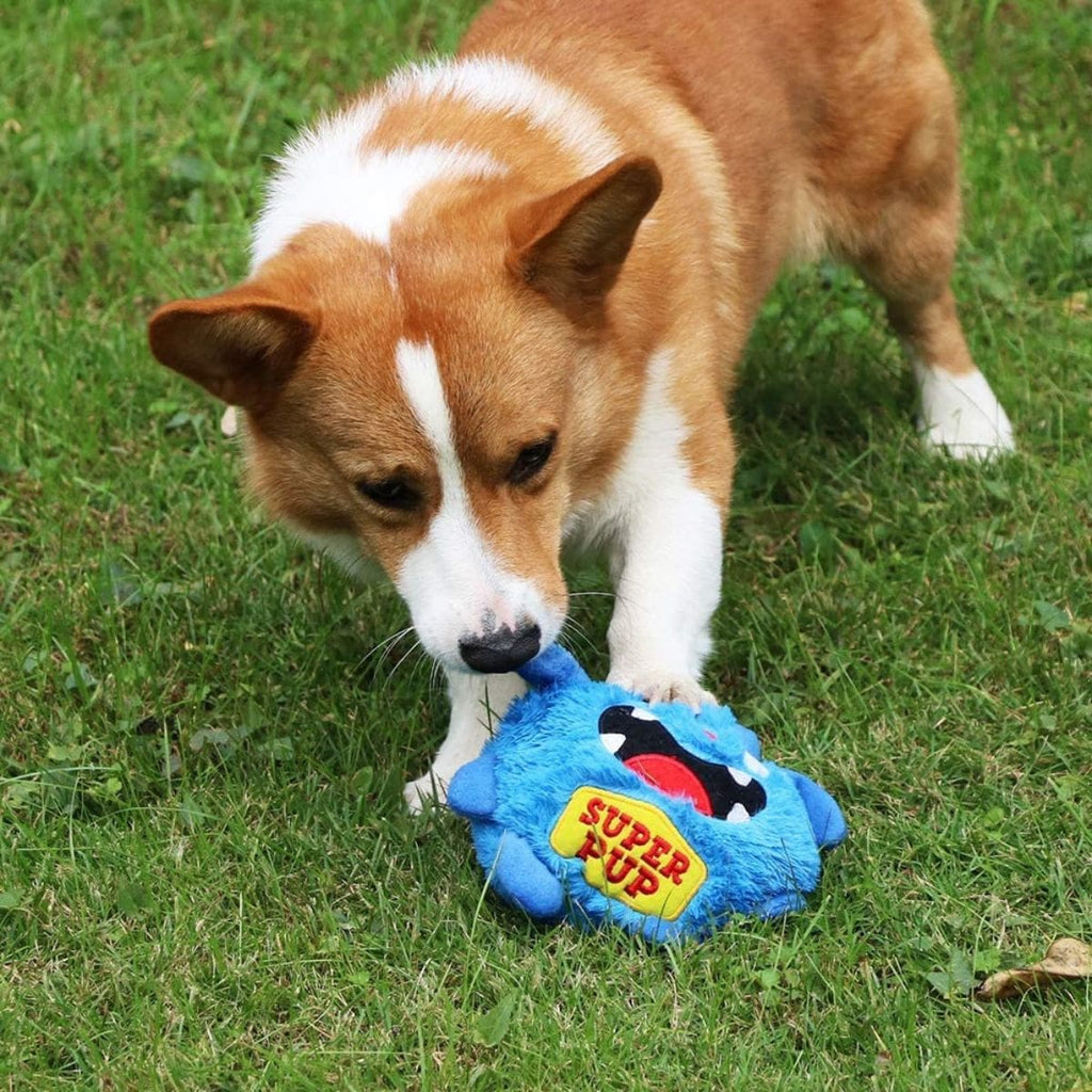 Cute Monster - Interactive Dog Toy - Pawfection