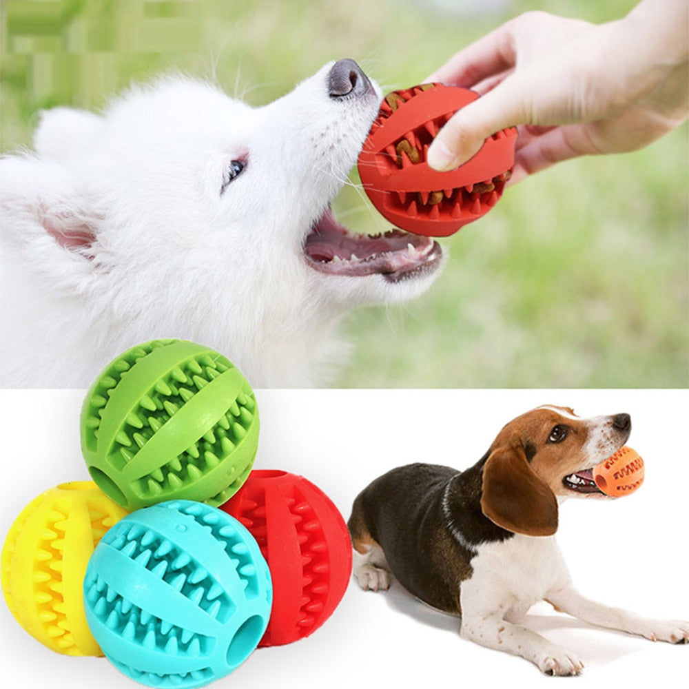 Rubber Balls Chewing Pet Toys - Pawfection