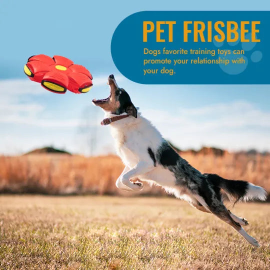 Pet Flying Saucer Ball - Pawfection