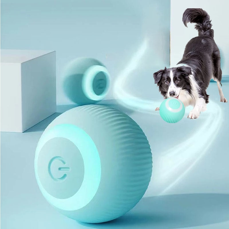 Electric Smart Dog Ball Toys - Pawfection