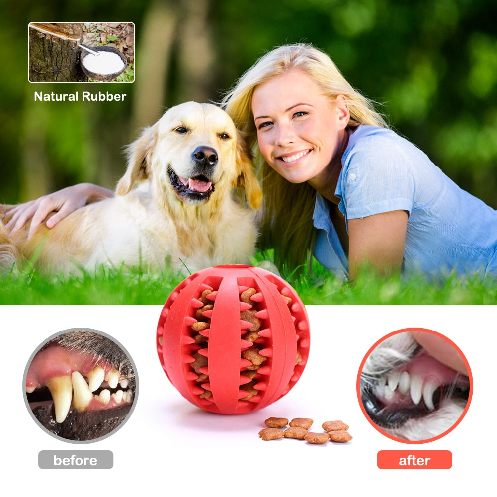 Rubber Balls Chewing Pet Toys - Pawfection