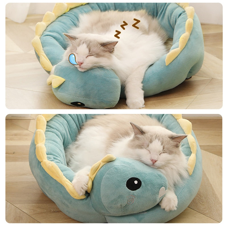 Dragon Bed - Pawfection