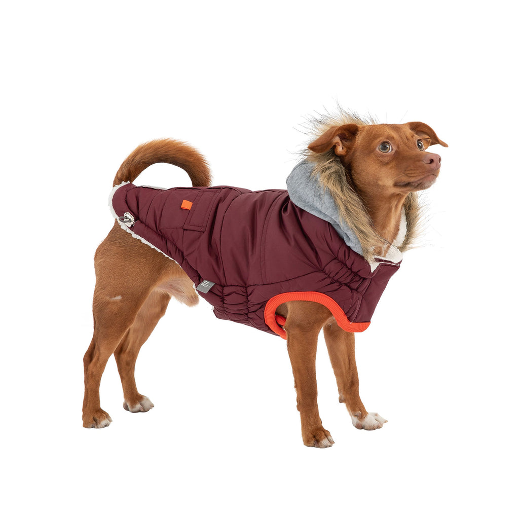 Winter Sailor Parka - Burgundy - Pawfection