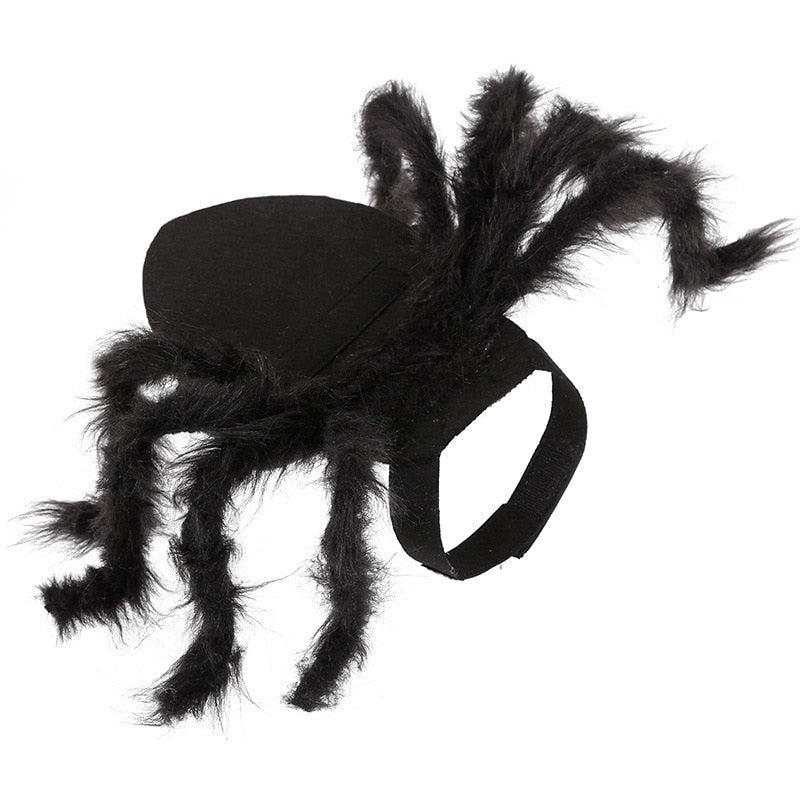 Spider Costume for Pets - Pawfection