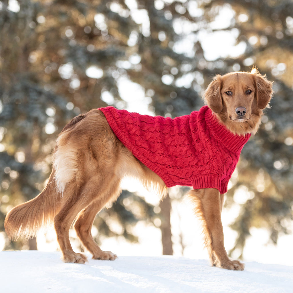 Red Chalet Dog Sweater - Pawfection