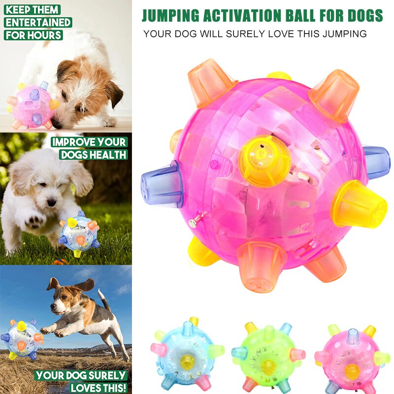 Jumping Activation Ball - Pawfection