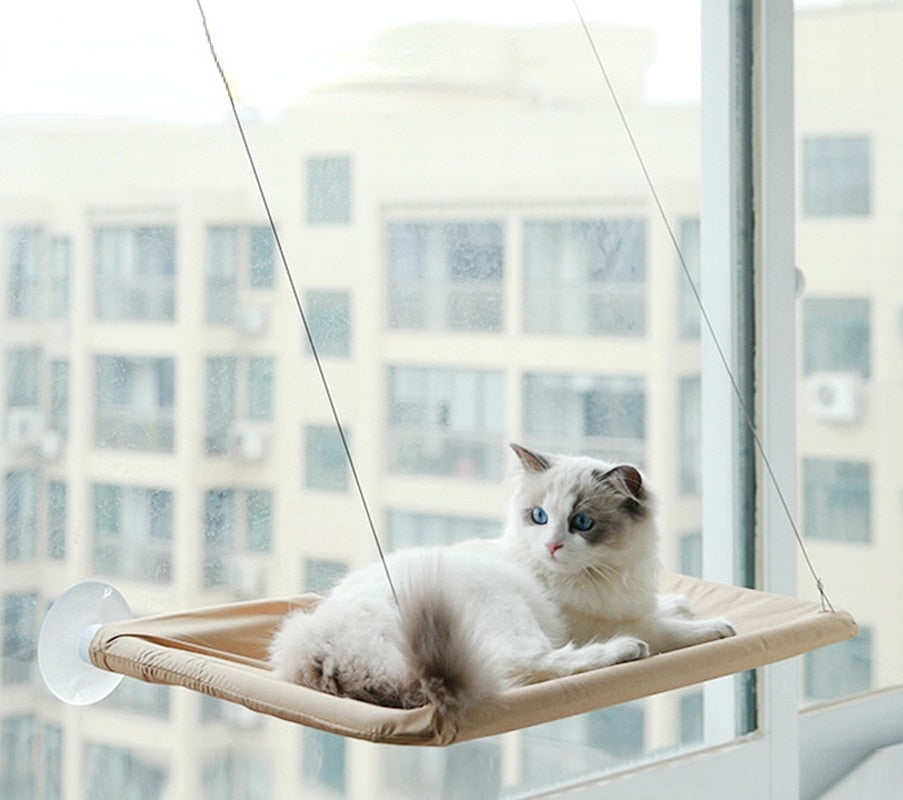 Cat Hanging Bed Shelf - Pawfection