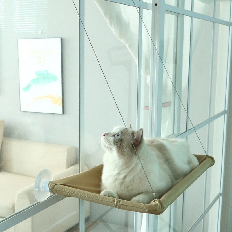 Cat Hanging Bed Shelf - Pawfection