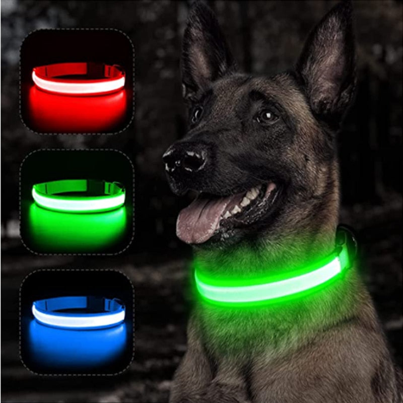 LED Glowing Dog Collar - Pawfection