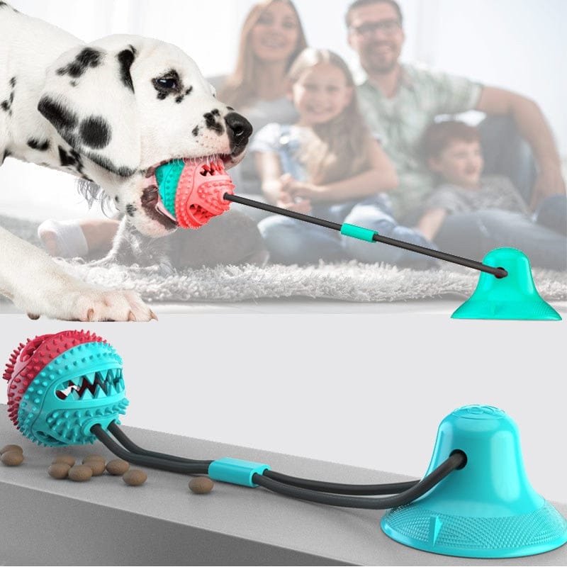 Silicone Suction Cup Dog Toy - Pawfection