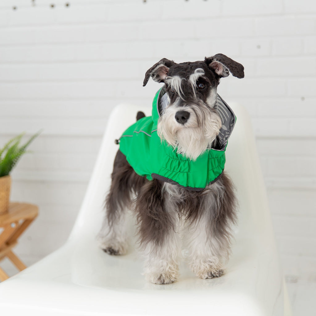 Reversible Elasto-Fit Raincoat - Green - Pawfection