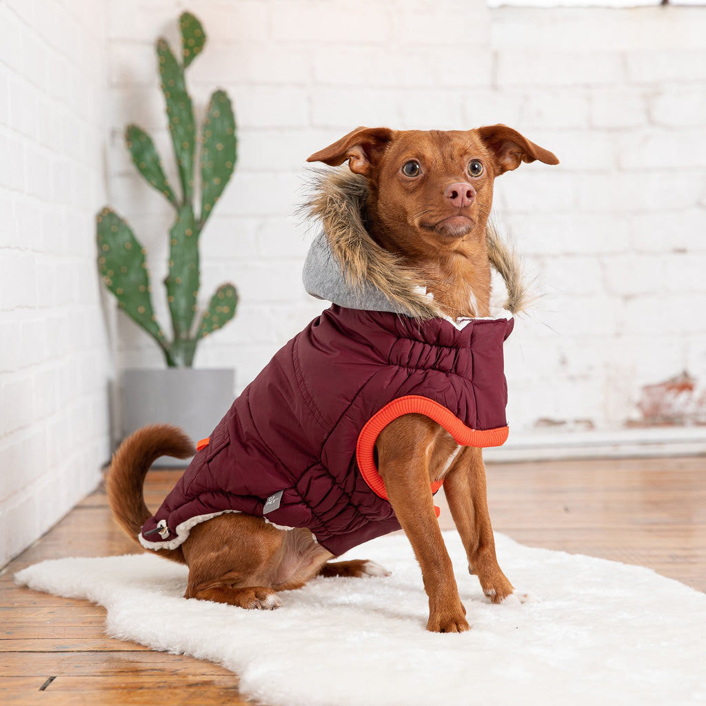 Winter Sailor Parka - Burgundy - Pawfection